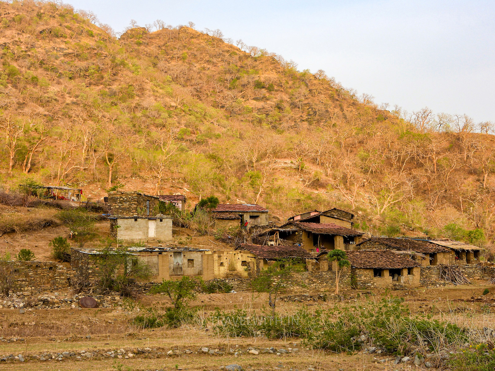 tribal-village-kumbhalgarh-wildlife-sanctuary-travelwith